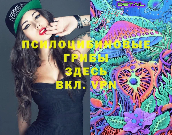 крисы Абинск