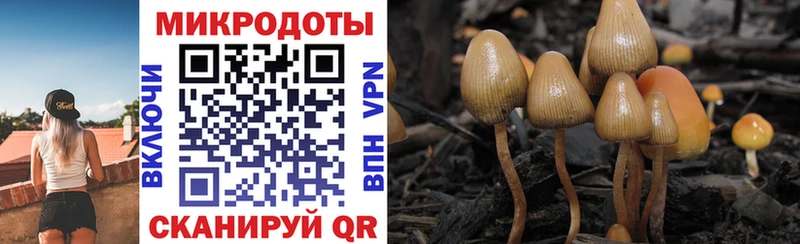 Галлюциногенные грибы GOLDEN TEACHER  Орёл 
